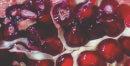 mybacs product ingredient