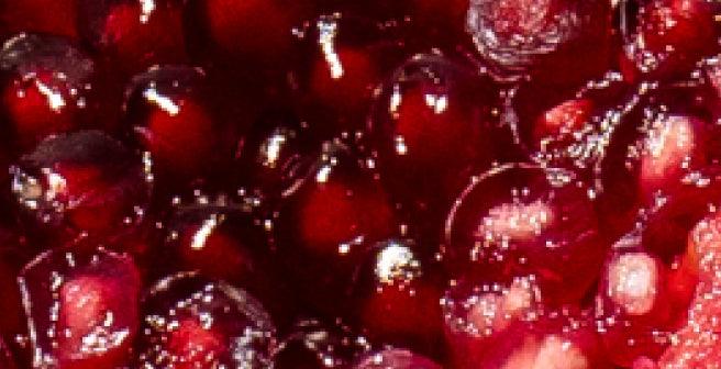 mybacs product ingredient