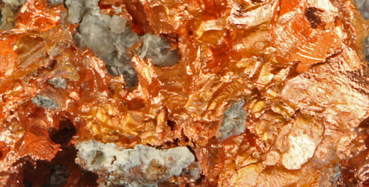 mybacs product ingredient