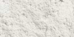 Brainbacs Day mit L-Tryptophan als Vorstufe von Serotonin.