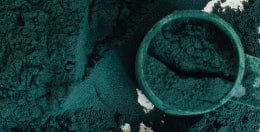 mybacs product ingredient
