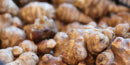mybacs product ingredient