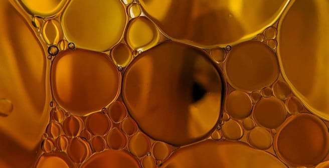 mybacs product ingredient