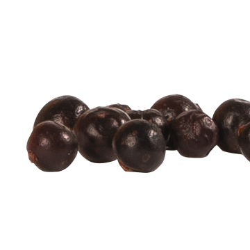 Wachholderbeeren