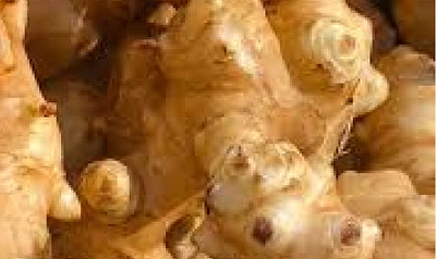 Fibra dietética