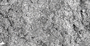 Dietbacs® enthaltenChrom zur Aufrechterhaltung eines normalen Blutzuckerspiegels.