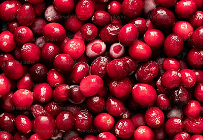 Extracto de arándano rojo