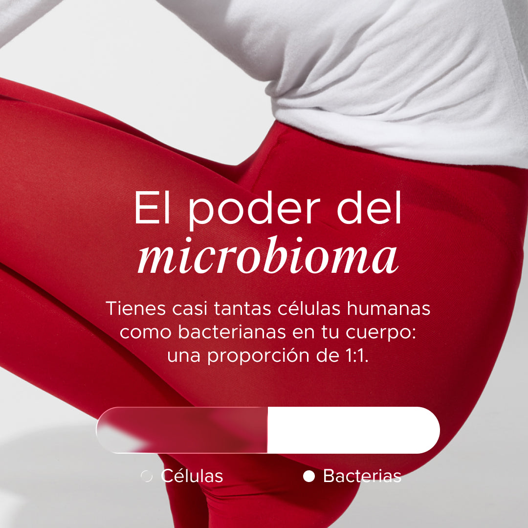 Dailybacs Mujeres