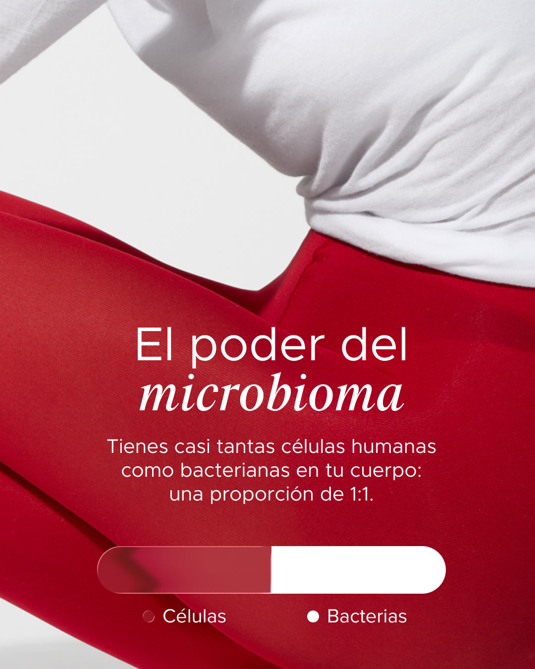 Dailybacs Mujeres
