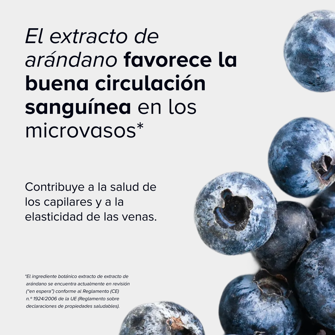 El ingrediente clave de Radiant Glow, el extracto de arándano, favorece la buena circulación sanguínea y contribuye a la salud de los capilares y la elasticidad de las venas.