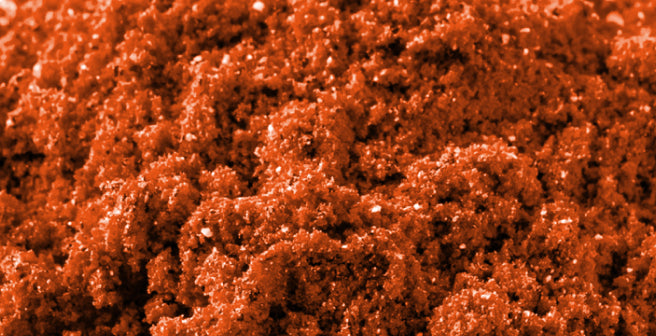 mybacs product ingredient