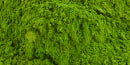 mybacs product ingredient