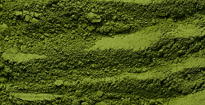 Extracto de té verde