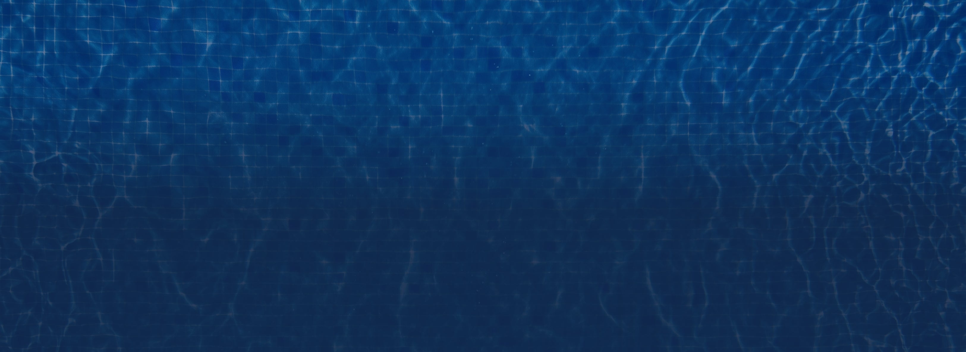 Mybacs loyalty banner