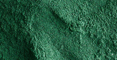 Spirulina