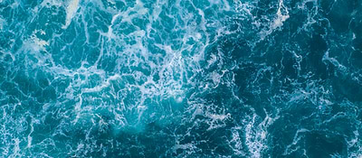 Péptidos de colágeno marino hidrolizado de pescado como ingrediente de mybacs Beautybacs.
