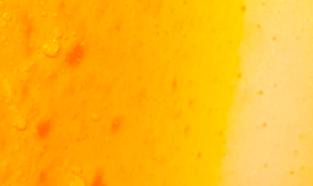 Vitamina B6