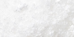 Biotin in Dailybacs® Women – trägt zum Erhalt normaler Haut, Haare und Schleimhäute bei.