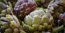 mybacs product ingredient