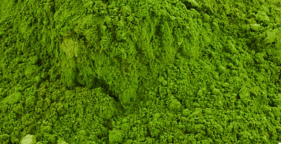 Gerstengras