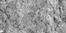 Dietbacs® enthaltenChrom zur Aufrechterhaltung eines normalen Blutzuckerspiegels.