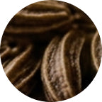 Kümmel