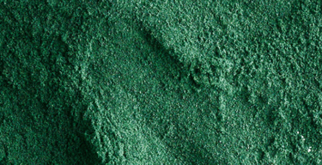 mybacs product ingredient