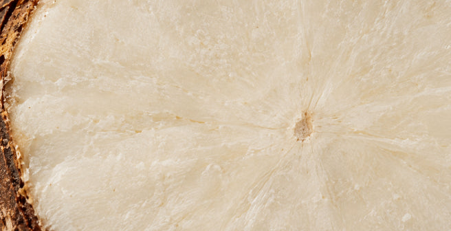 mybacs product ingredient