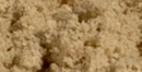 mybacs product ingredient