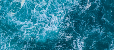 Péptidos de colágeno marino hidrolizado de pescado como ingrediente de mybacs Beautybacs.
