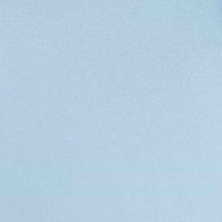 "The Clark" Light Blue with White Collar