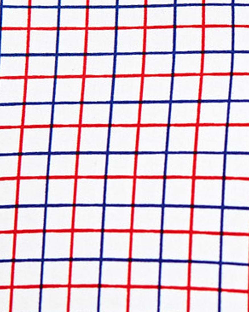 "The Potomac" Red and Blue Cross Stitch