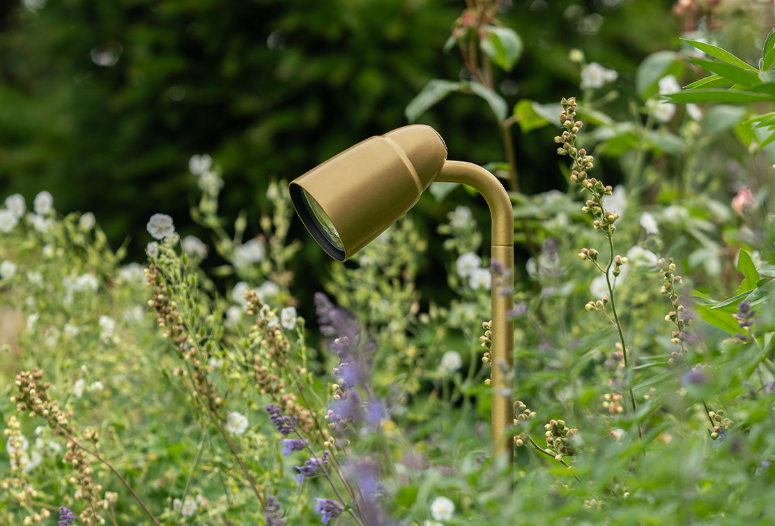 Close-up 'Ealing Path Spotlight' in solid brass, angled downwards towards surrounding flowers.
