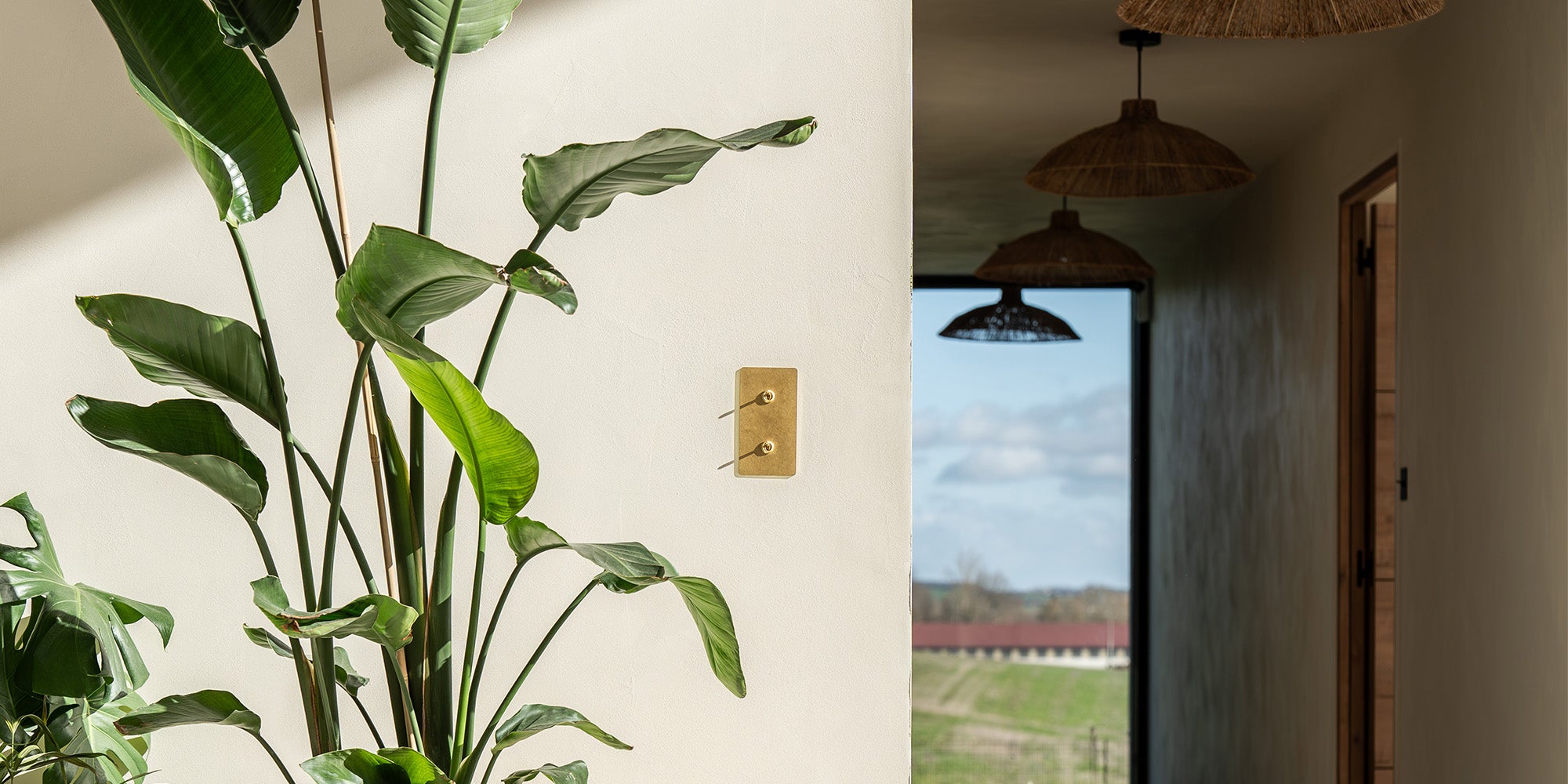 A lush green plant beside a textured cream wall, featuring a stylish brass light switch, with a bright window view in the background.