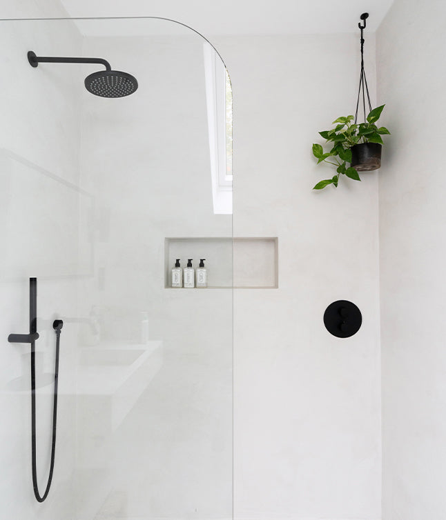 Minimalist shower with a black rain showerhead, glass enclosure, and shelf with three bottles, complemented by a hanging plant.