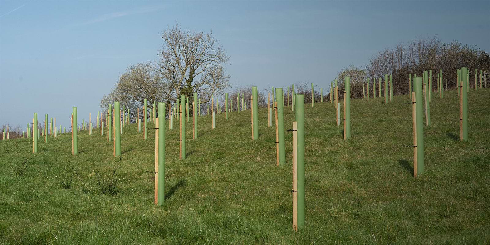 Dag van de Aarde 2023: we planten een bos