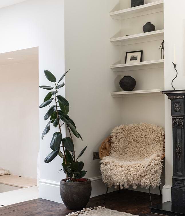 A living space with a plants, home furnishings and a switch behind
