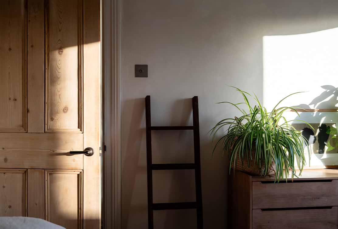 A ladder positioned besides a bronze light switch. Sunlight floods the room