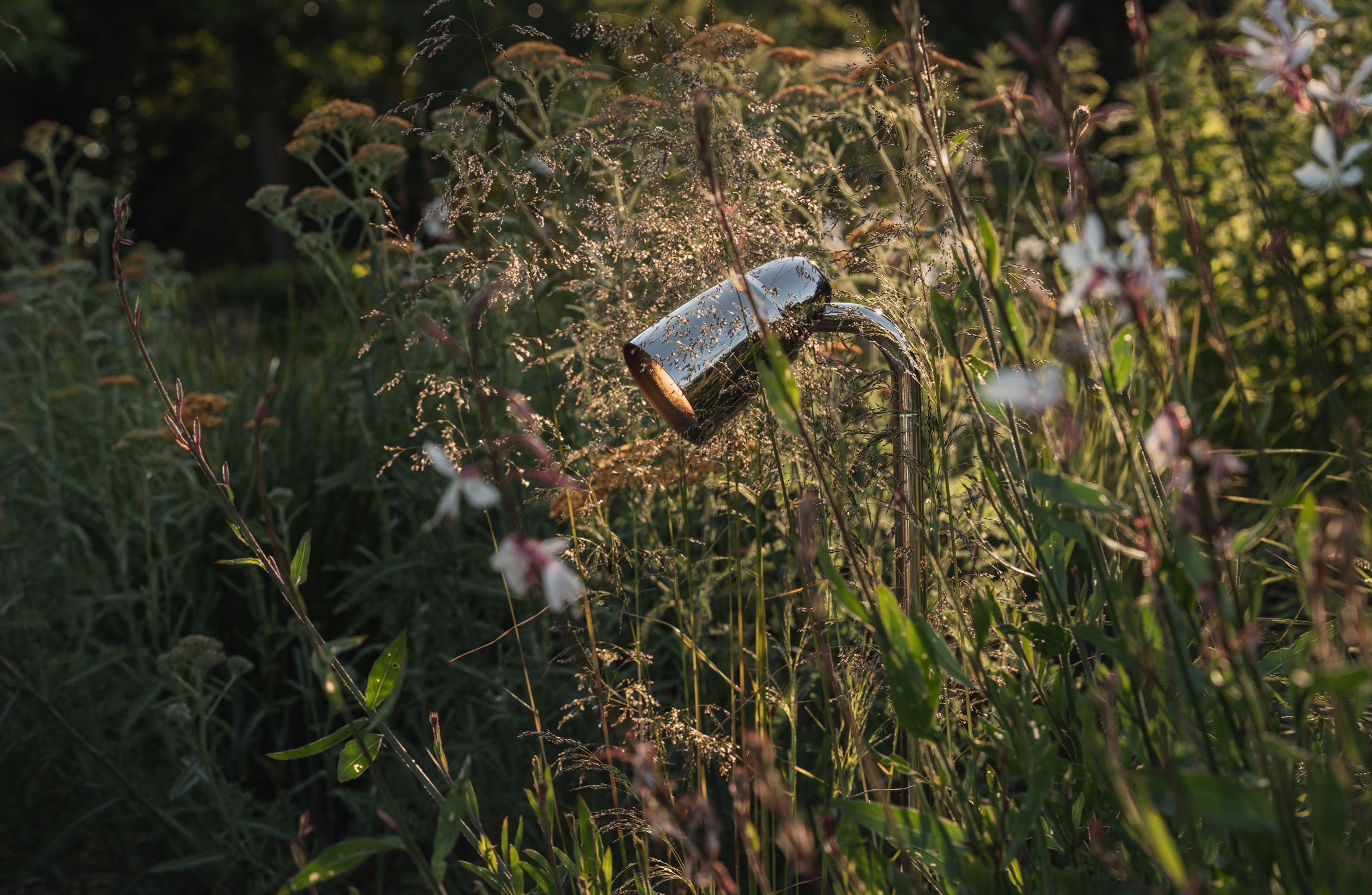A shiny outdoor light fixture partially hidden in tall grass, illuminated by soft sunlight, surrounded by wildflowers.