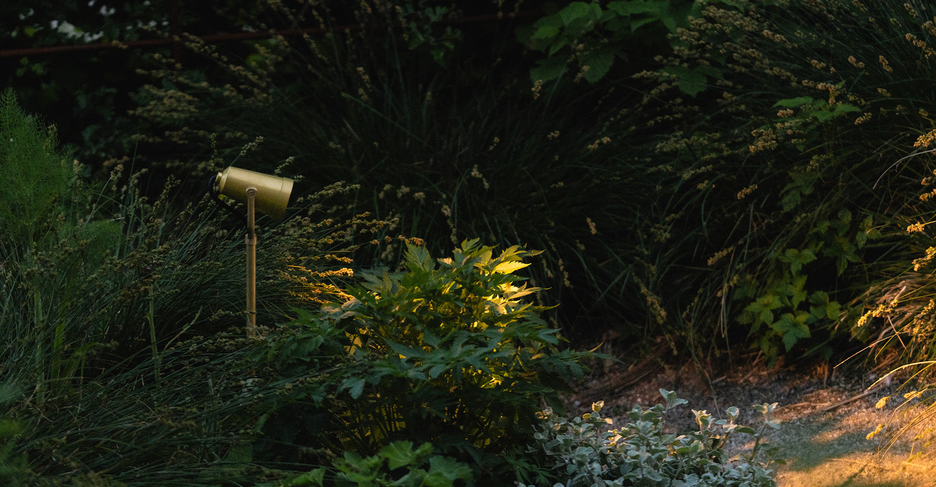 An antique brass spotlight illuminates lush greenery in a dimly lit garden, highlighting vibrant leaves among tall grasses.