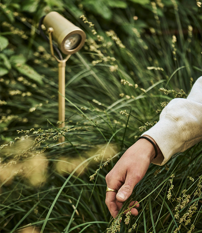 A hand gently touches tall green grass, with a vintage-style garden light in the background, surrounded by lush foliage.