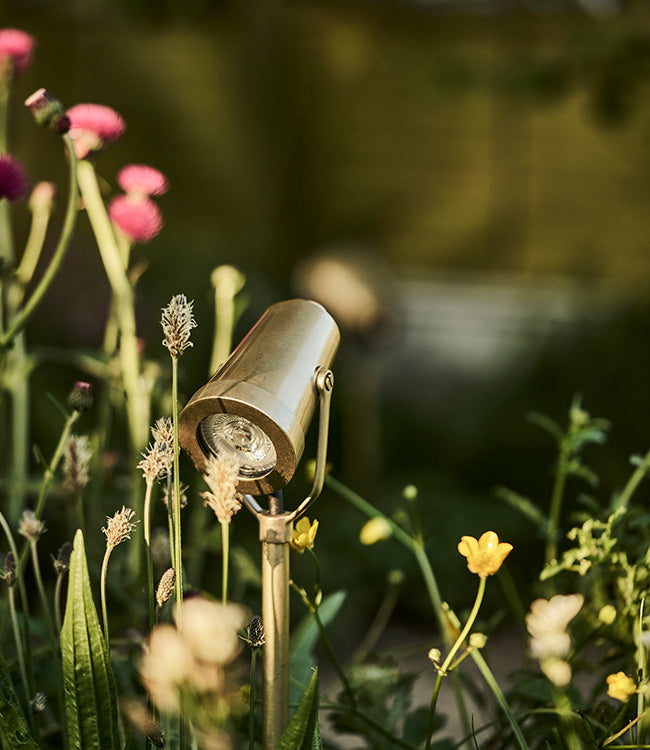 A garden spotlight illuminates colourful flowers, including pink and yellow blooms, amidst lush greenery in soft, natural lighting.