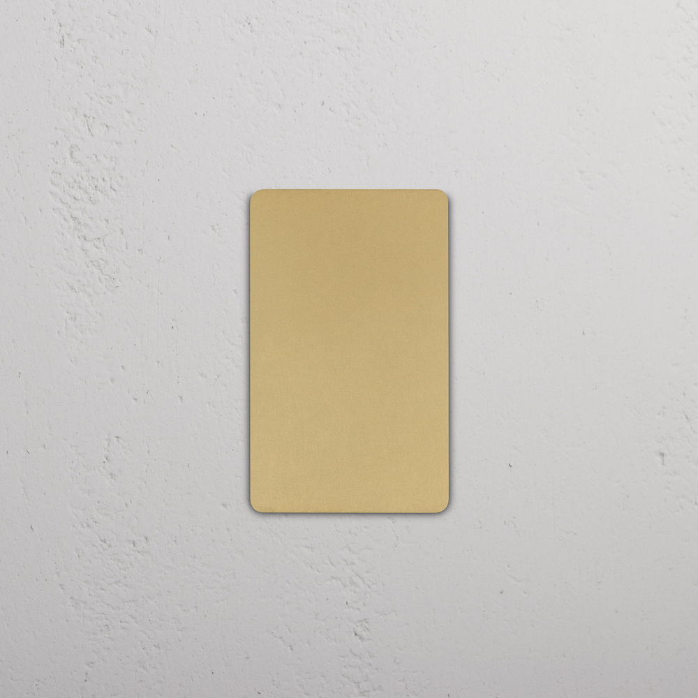 Grove 1G Blank Plate - Antique Brass