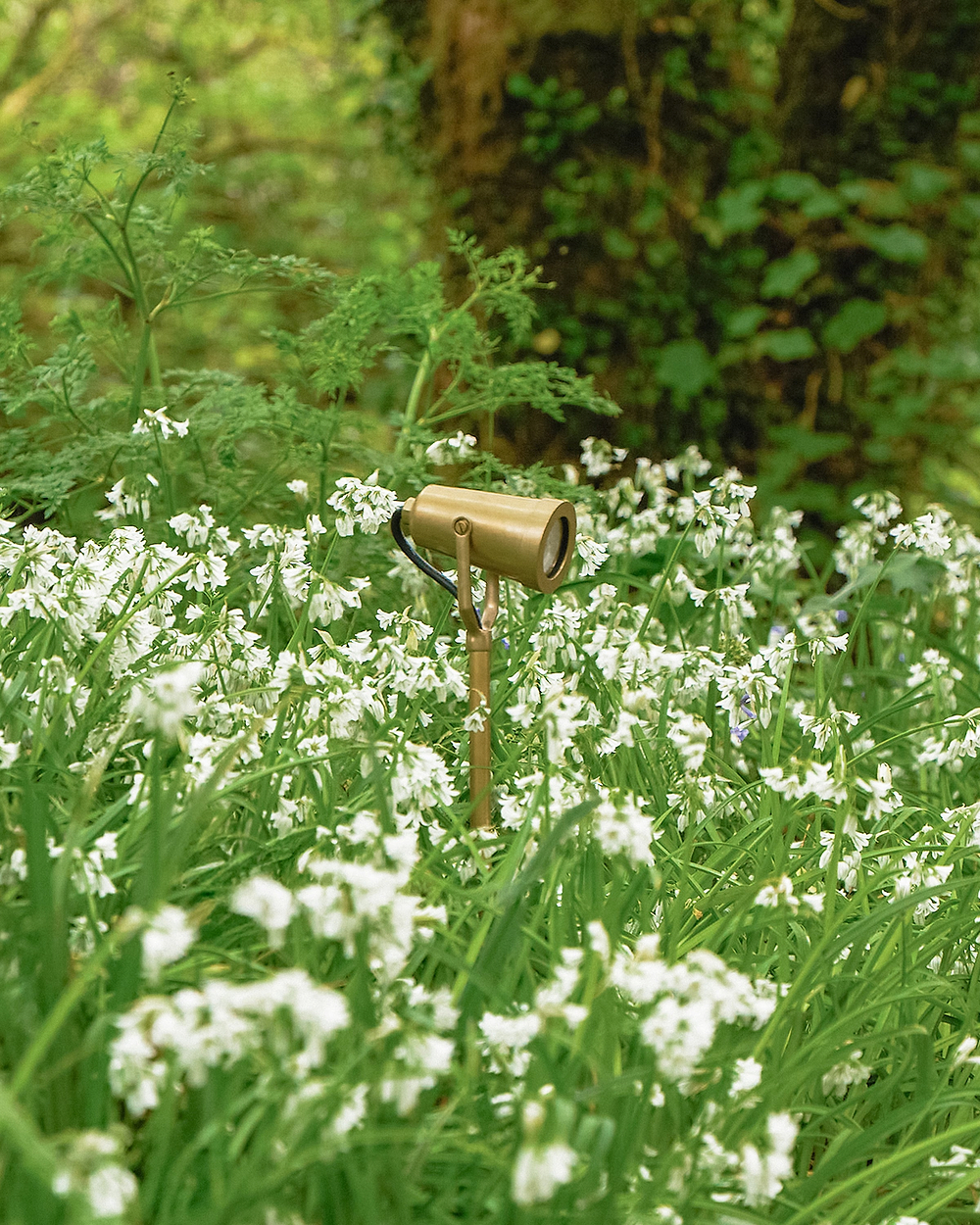 Cambridge Ground Spotlight 24V – Antique Brass