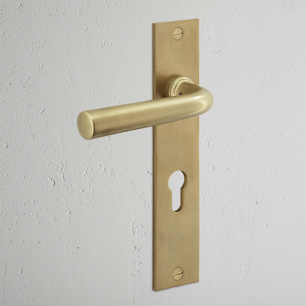 Apsley Long Plate Sprung Door Handle & Euro Lock - Antique Brass