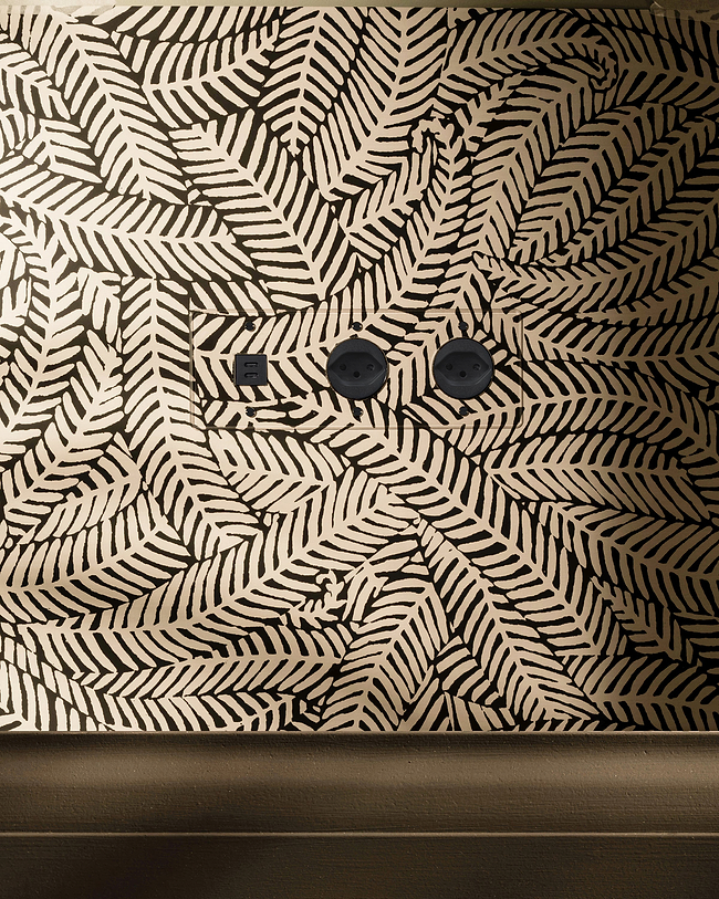 P-L1