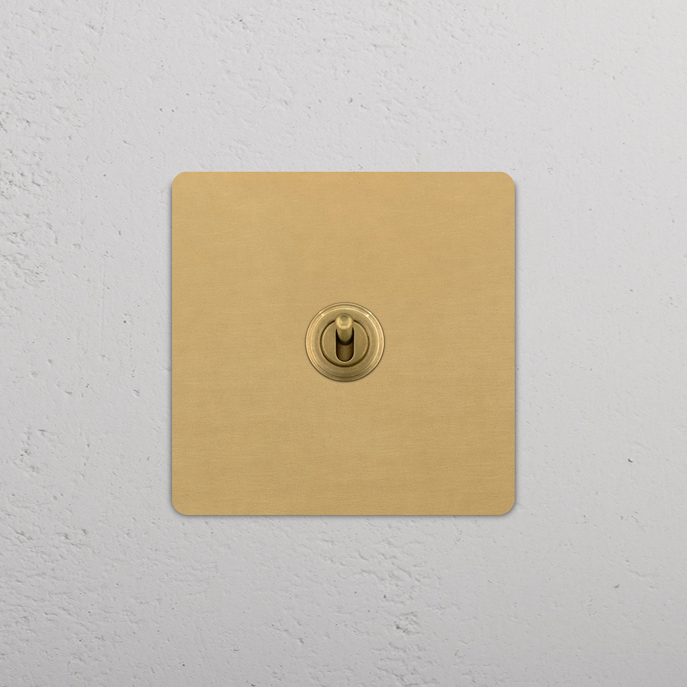 Grove Single Retractive Toggle Switch - Antique Brass