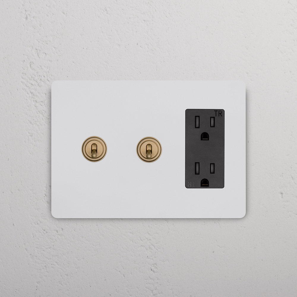 Grove 3G 2x Toggle Switch & Outlet – Paintable Antique Brass | Black