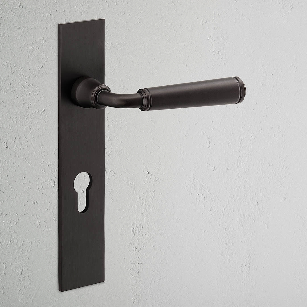 Digby Long Plate Sprung Door Handle & Euro Lock - Bronze
