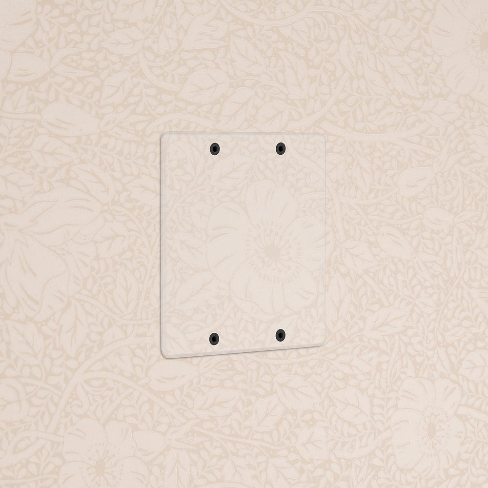 Kew 2G Blank Plate - Clear